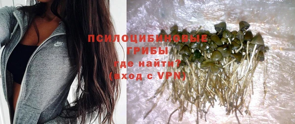 шишки Баксан