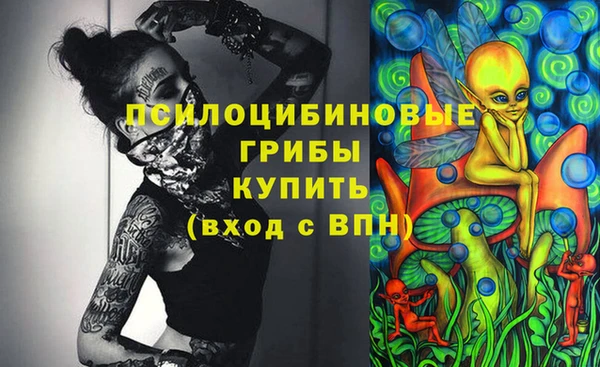 шишки Баксан